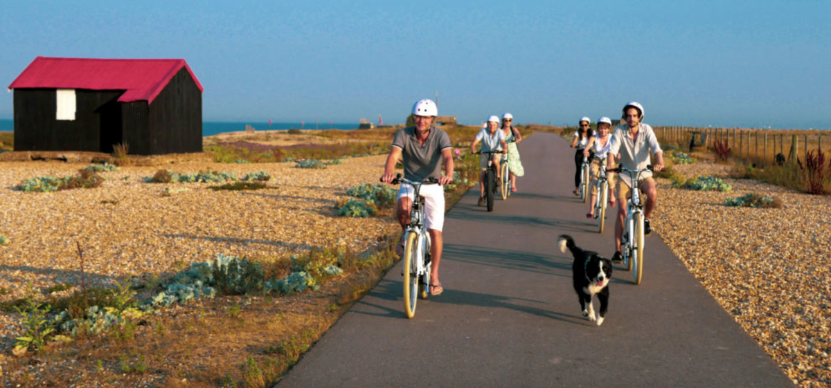 Rye Bay Ebikes